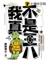 舞姬：从一个魔法少女分身到魔神